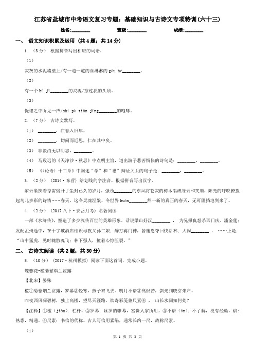 江苏省盐城市中考语文复习专题:基础知识与古诗文专项特训(六十三)