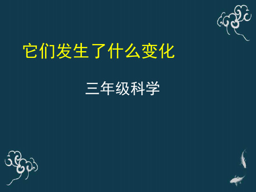 教科版小学三年级上册科学 《 8它们发生了什么变化》