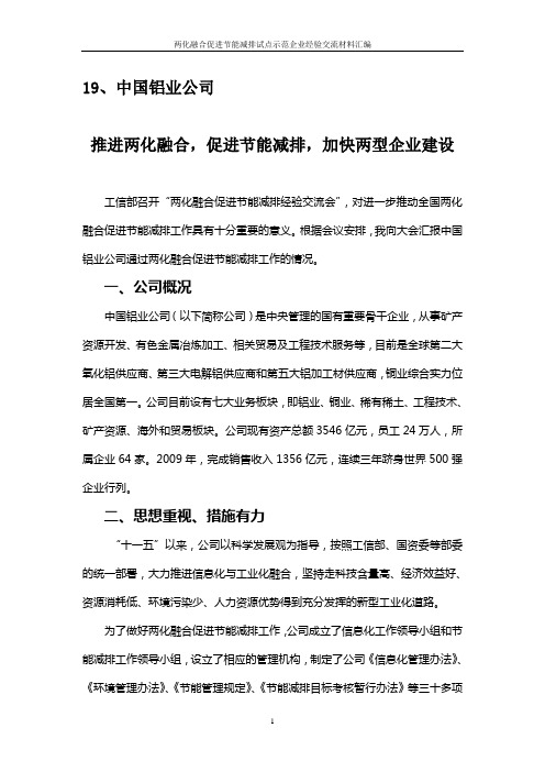 19-中国铝业公司
