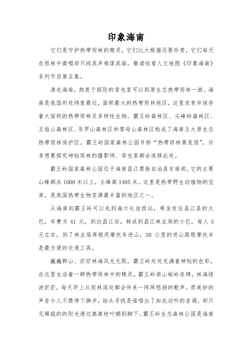 印象海南E05