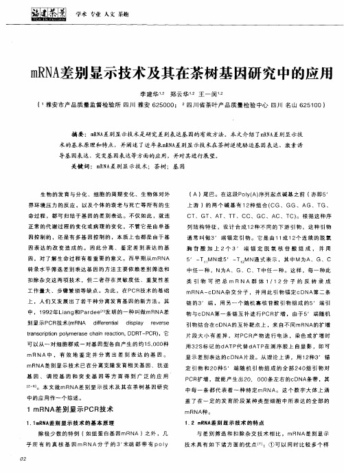 mRNA差别显示技术及其在茶树基因研究中的应用