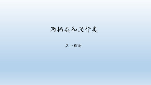 鲁科版(五四学制)八年级生物上册：1.5 两栖类和爬行类  课件(共43张PPT)