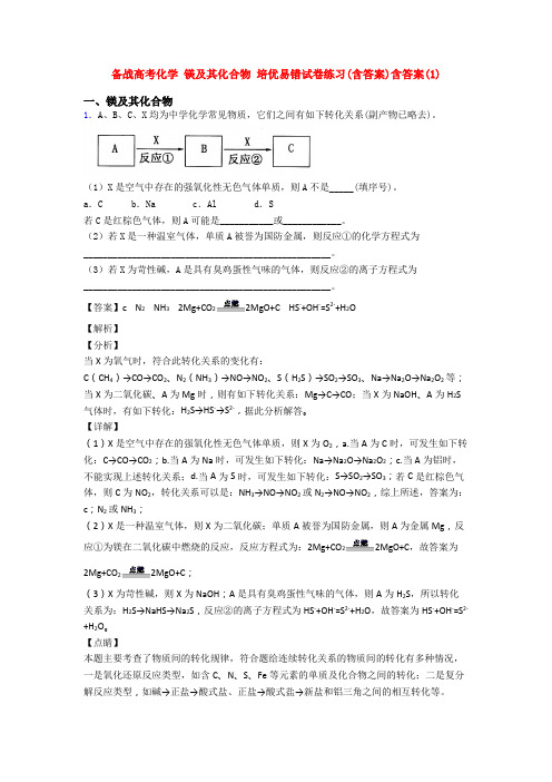 备战高考化学 镁及其化合物 培优易错试卷练习(含答案)含答案(1)