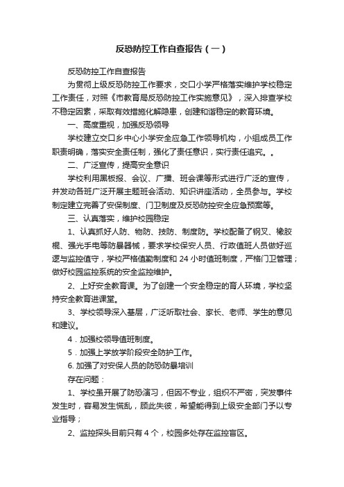 反恐防控工作自查报告（一）