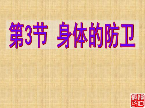 九年级科学下册 身体的防卫课件 浙教版