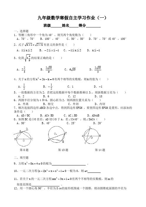 九年级数学寒假自主学习作业1