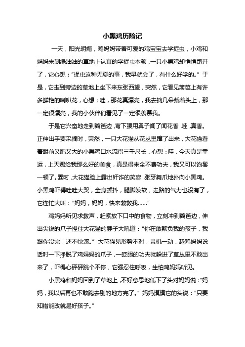 二年级作文:小黑鸡历险记作文600字