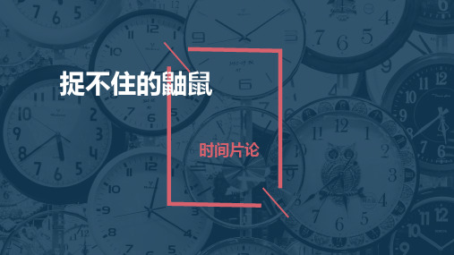 捉不住的鼬鼠 课件