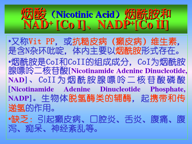 生物化学烟酸（NicotinicAcid）烟酰胺和NAD+（CoI...