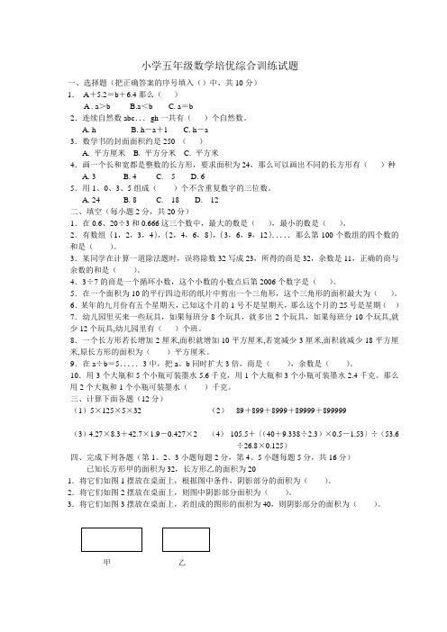 小学五年级数学培优综合训练试题