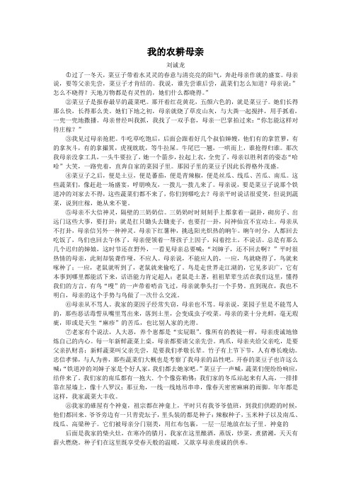我的农耕母亲(2015四川遂宁中考语文记叙文阅读)