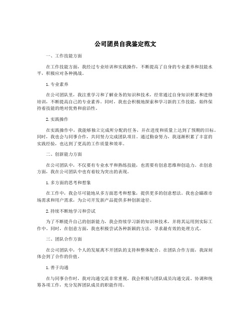 公司团员自我鉴定范文