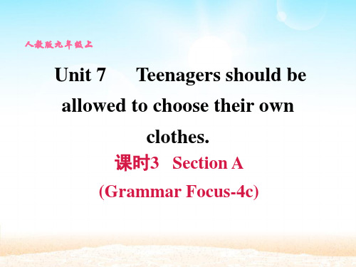 人教版九年级英语上册Unit7 Section A Grammar Focus-4c四