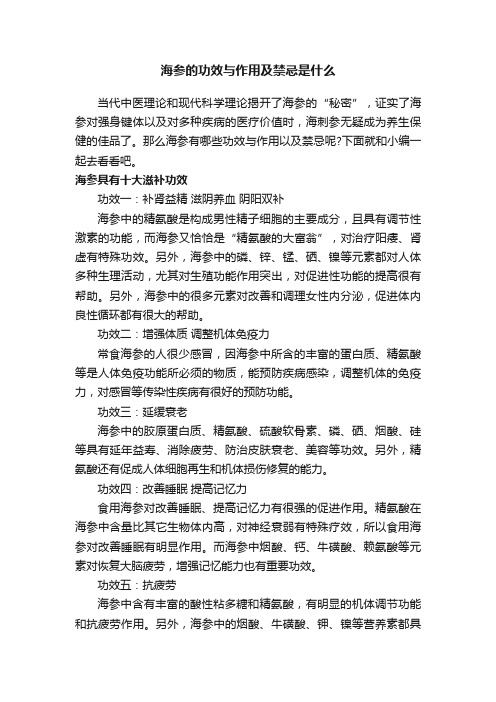 海参的功效与作用及禁忌是什么