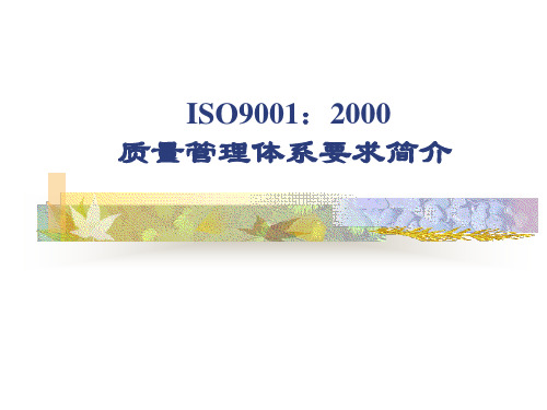 质量管理体系要求简介(ISO9001：2000)(PPT)