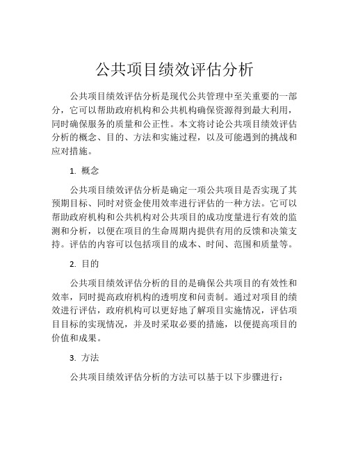 公共项目绩效评估分析