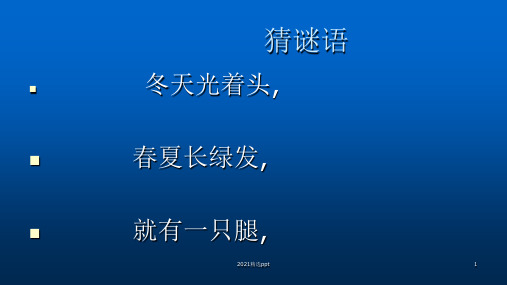 我与小树共成长ppt课件
