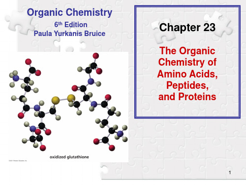 有机化学23_The Organic Chemistry of Amino Acids,Peptides,and Proteins