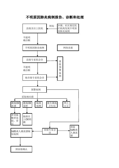 不明原因肺炎病例报告、诊断和处理