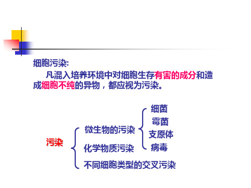 第三章细胞污染的检测与排除ppt课件