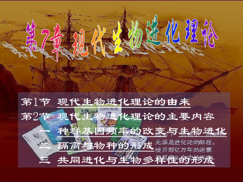 07现代生物进化理论