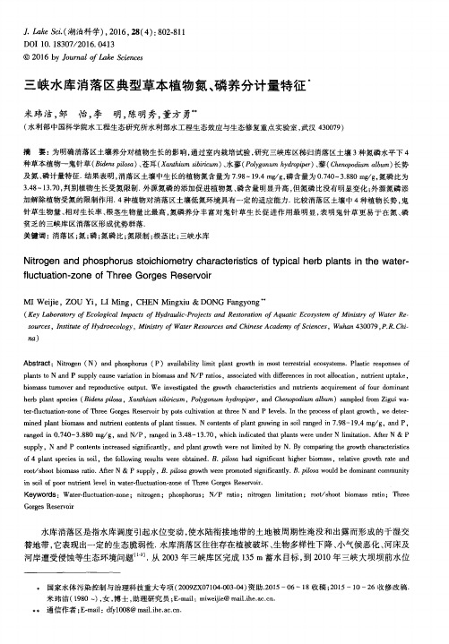 三峡水库消落区典型草本植物氮、磷养分计量特征