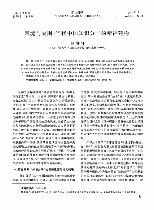 困境与突围：当代中国知识分子的精神建构