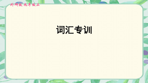 外研版(新标准)英语九年级上册专项训练试题(全套)(完美版)