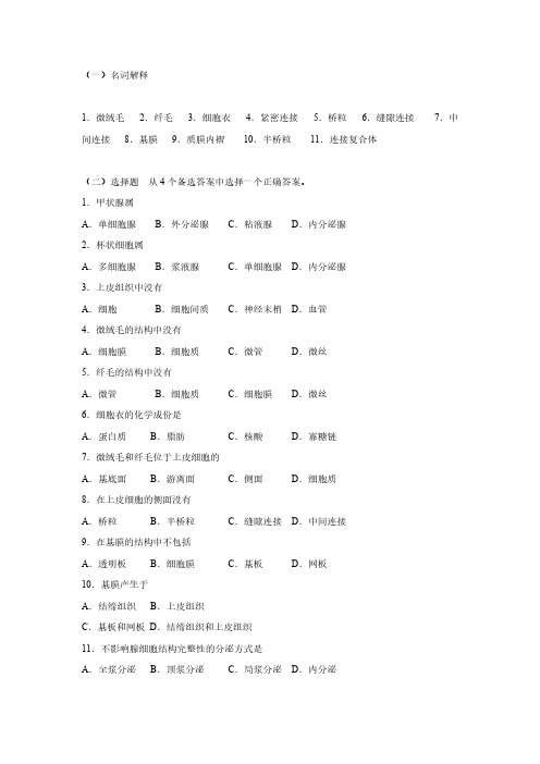 组织学 上皮组织