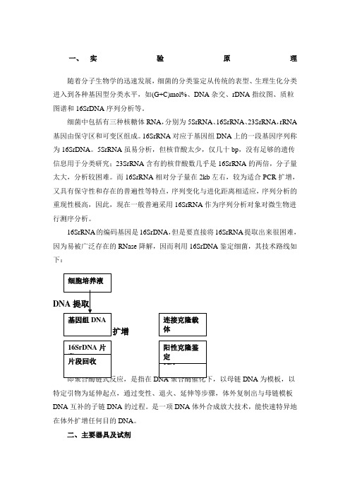 16SrDNA 实验原理