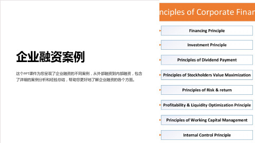 《企业融资案例》课件