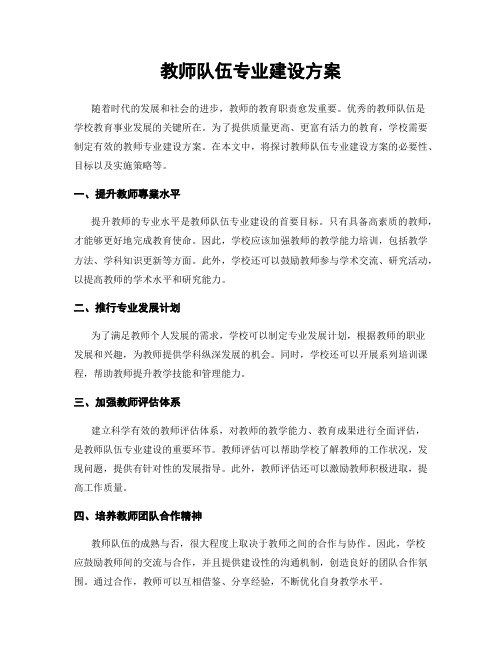 教师队伍专业建设方案