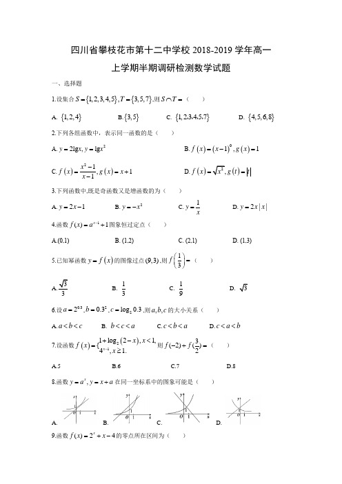 四川省攀枝花市第十二中学校2018-2019学年高一上学期半期调研检测试题含答案 (1)