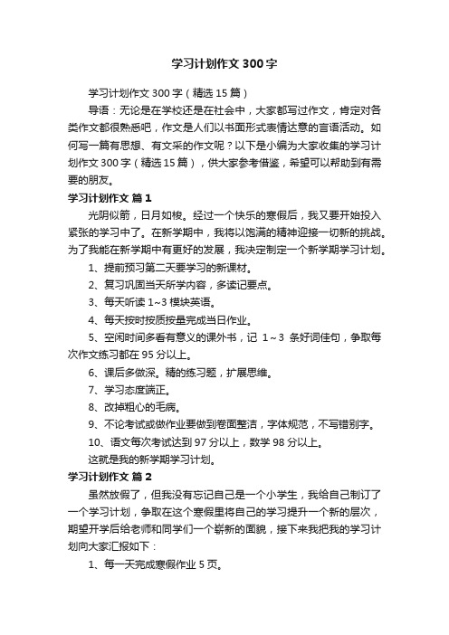 学习计划作文300字