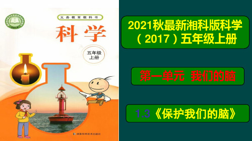 【新版精品】五年级上册科学课件-1.3《保护我们的脑》PPT课件