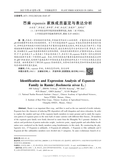 苎麻ｅｘｐａｎｓｉｎ_家族成员鉴定与表达分析