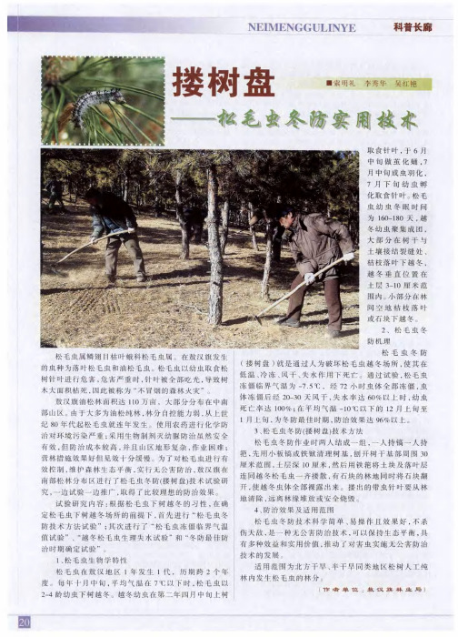搂树盘——松毛虫冬防实用技术