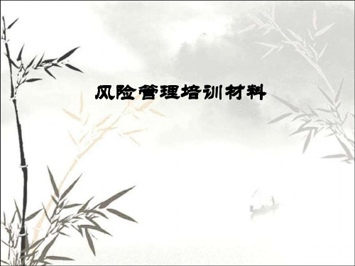 公司风险控制体系介绍