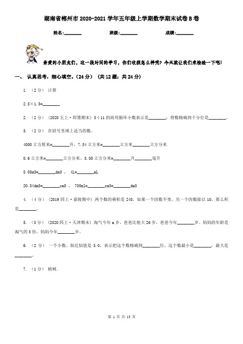 湖南省郴州市2020-2021学年五年级上学期数学期末试卷B卷