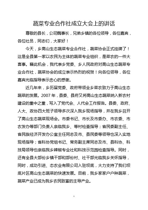 蔬菜专业合作社成立大会上的讲话