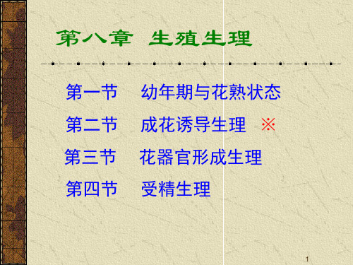 植物生理学教案--第八章生殖生理PPT课件