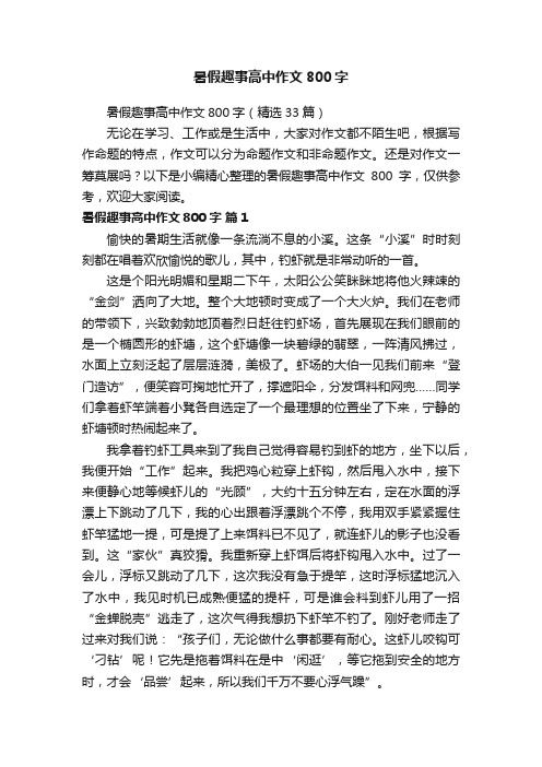 暑假趣事高中作文800字（精选33篇）