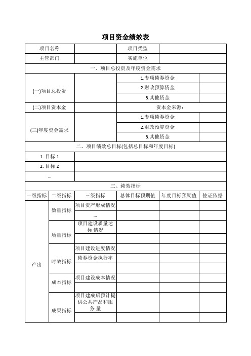 项目资金绩效表