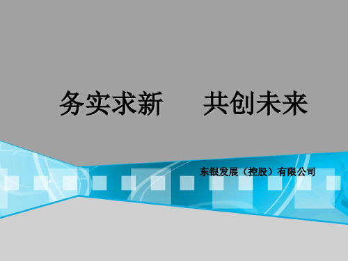 东银发展宣传手册资料