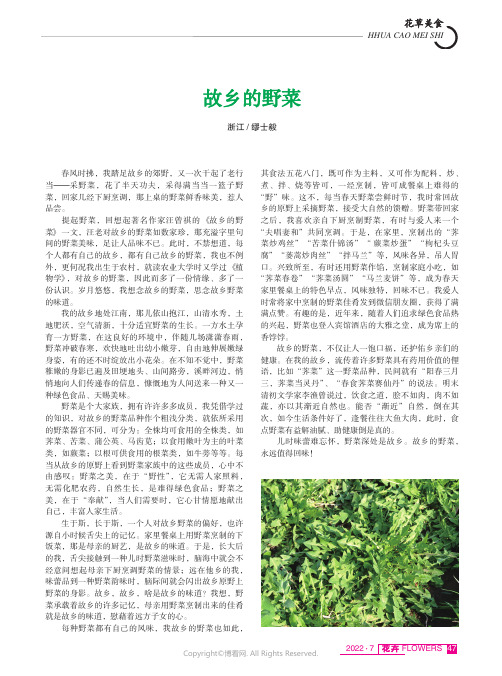 故乡的野菜