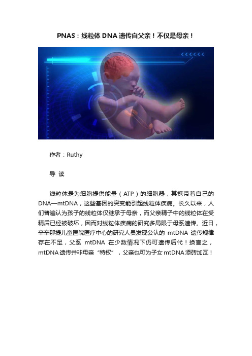 PNAS：线粒体DNA遗传自父亲！不仅是母亲！