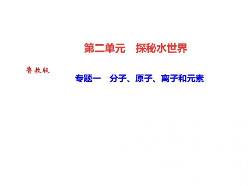 九年级化学：第二单元 专题一 分子、原子、离子和元素