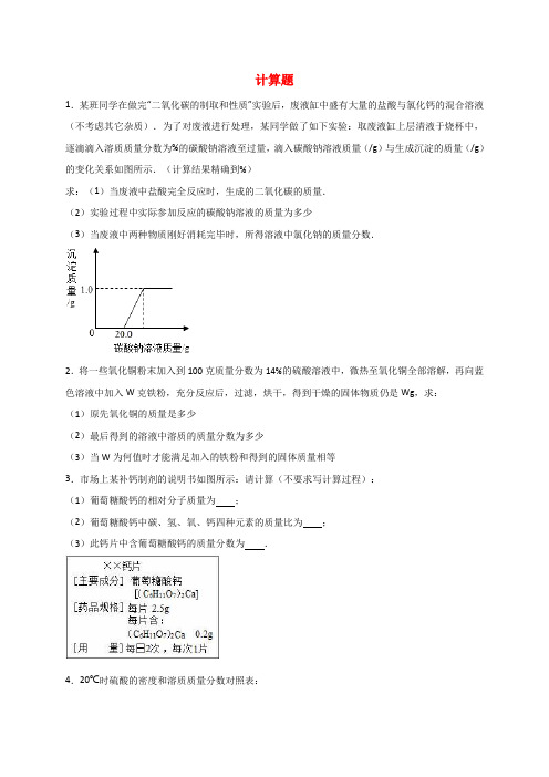 中考化学专题训练计算题含解析