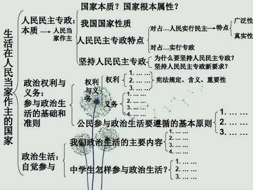 《政治生活》单元知识结构图