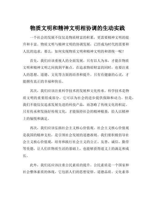 物质文明和精神文明相协调的生动实践